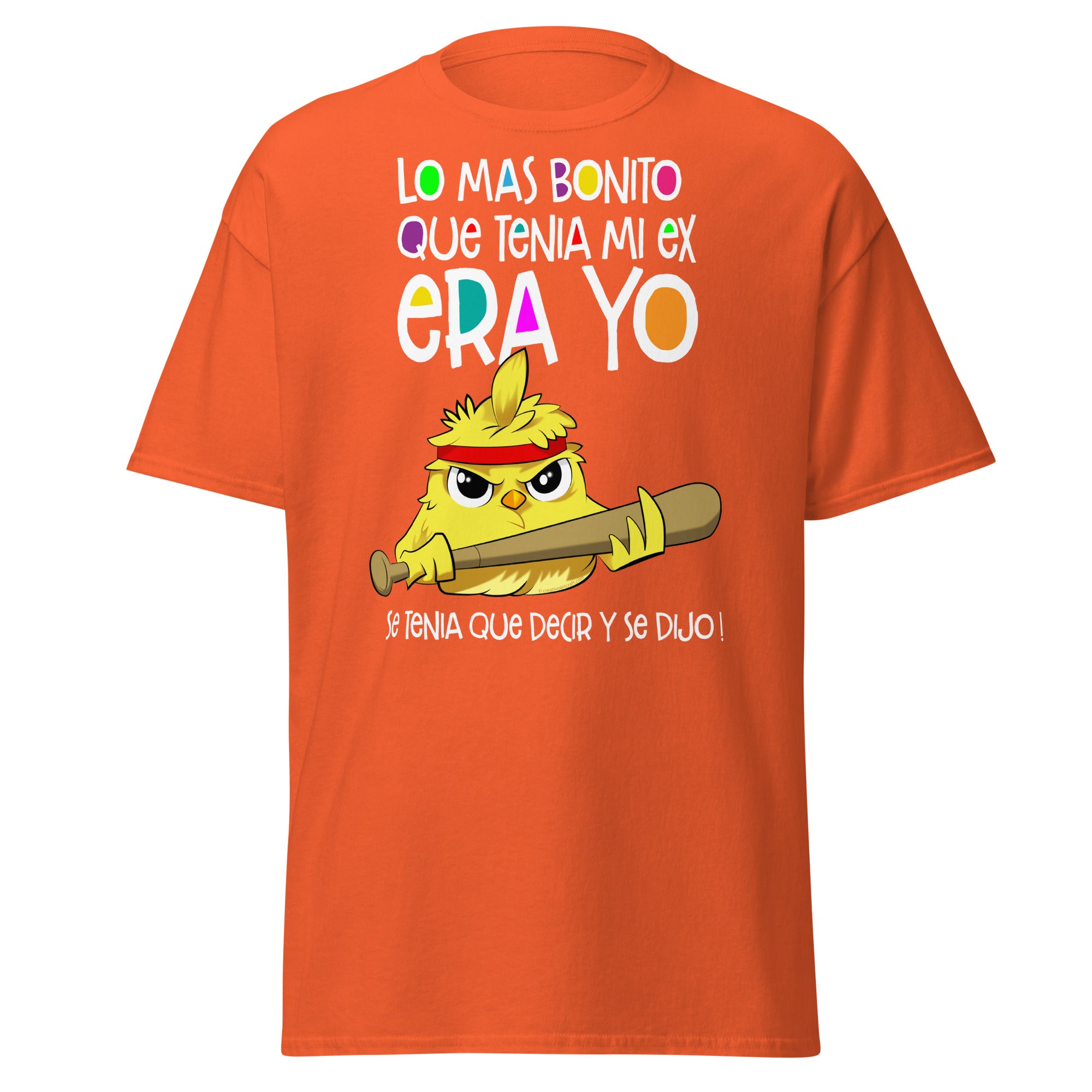 Lo mas bonito que tenia mi ex era yo